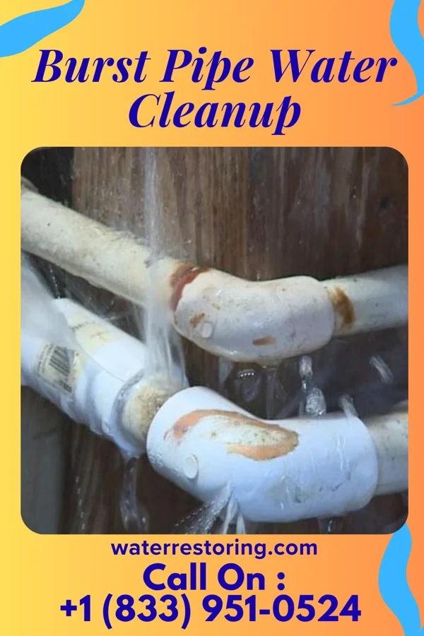 Burst Pipe Water Cleanup in Sandy Creek, NC